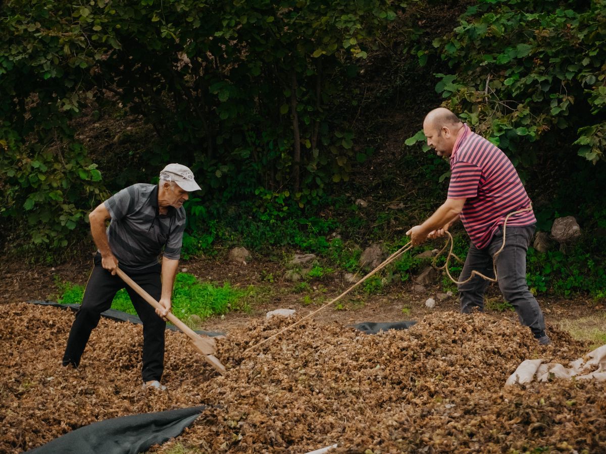 深圳市景禾棠科技有限公司